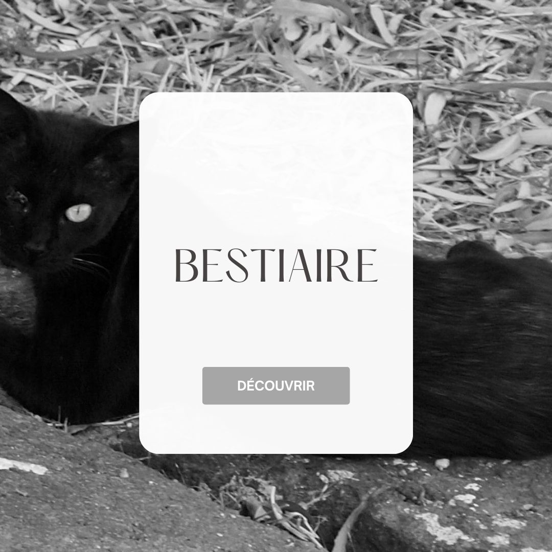 Sonia-Gravier-photos-bestiaire